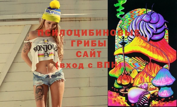бошки Ладушкин