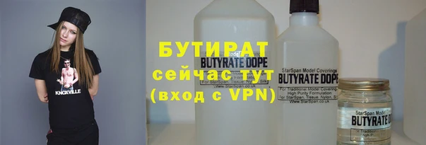 шишки Надым