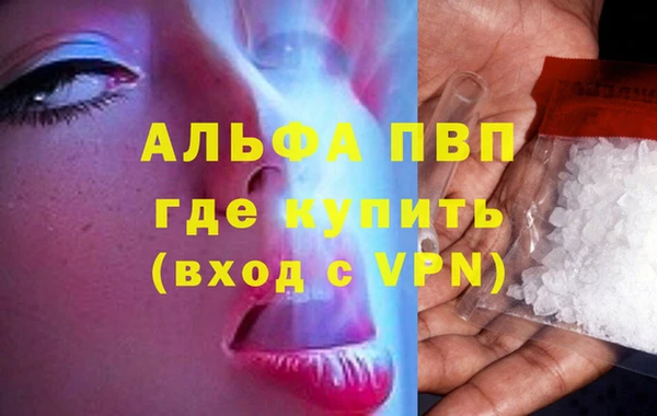 бошки Ладушкин
