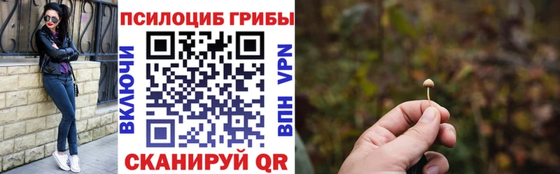 Псилоцибиновые грибы GOLDEN TEACHER  Новоульяновск 